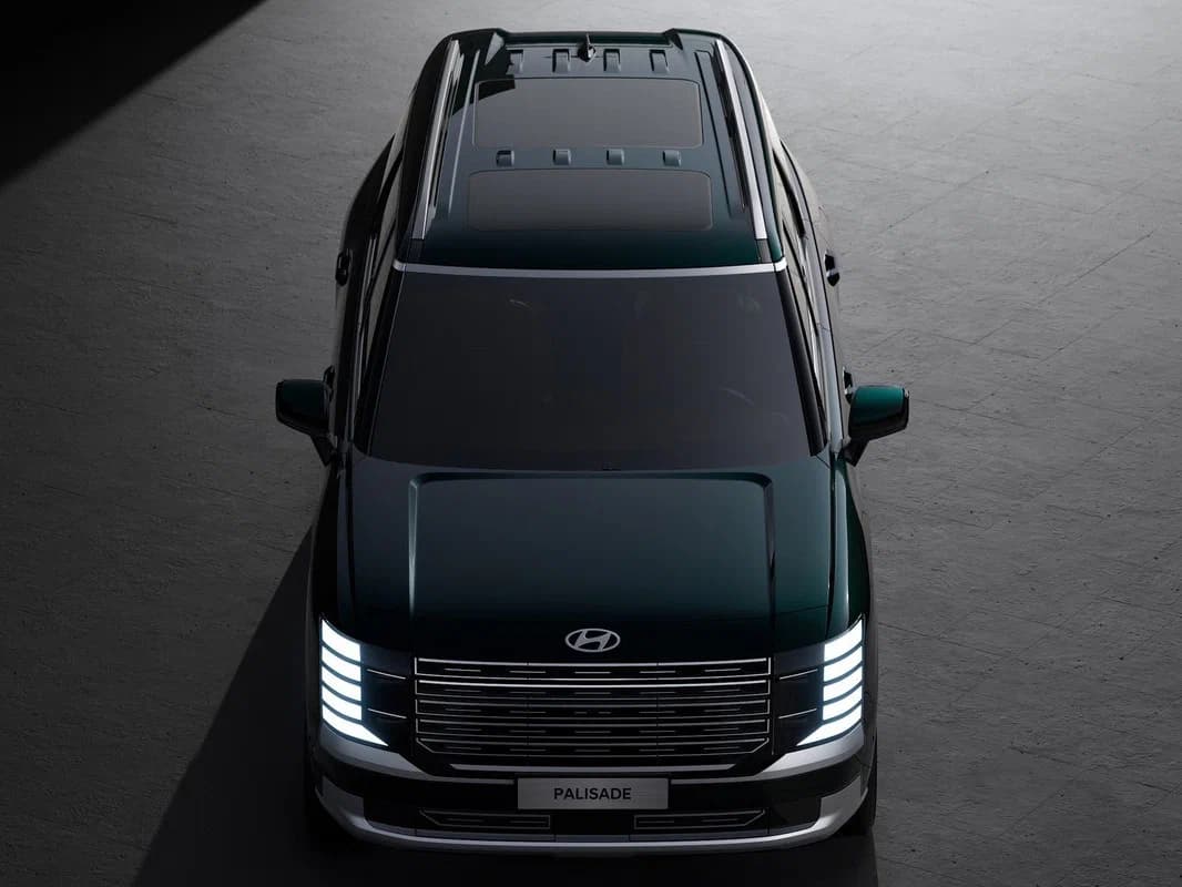 Palisade — фото 2