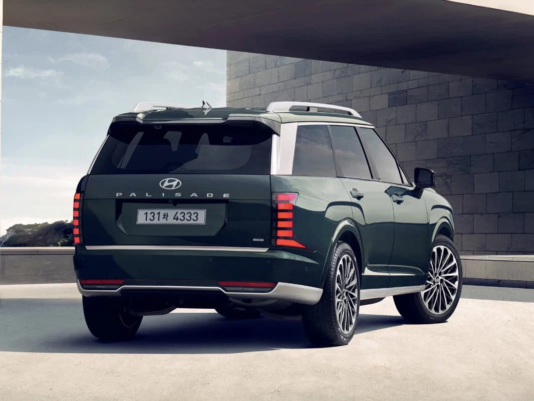 Palisade — фото 3