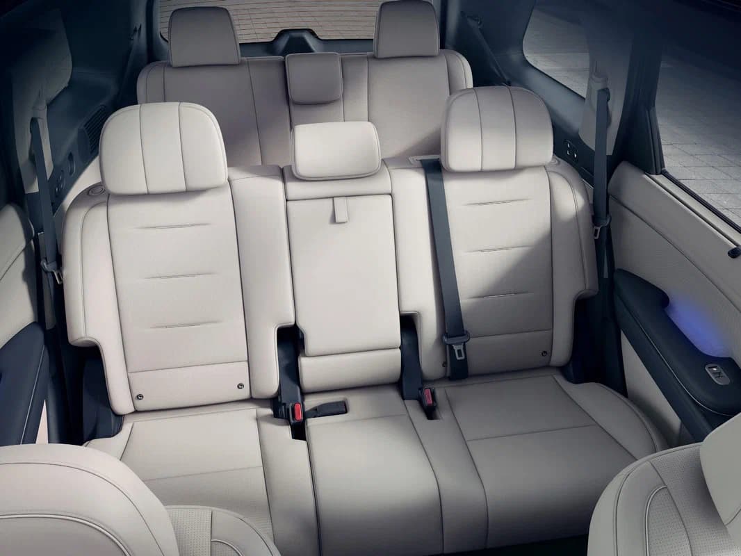 Palisade — фото 6