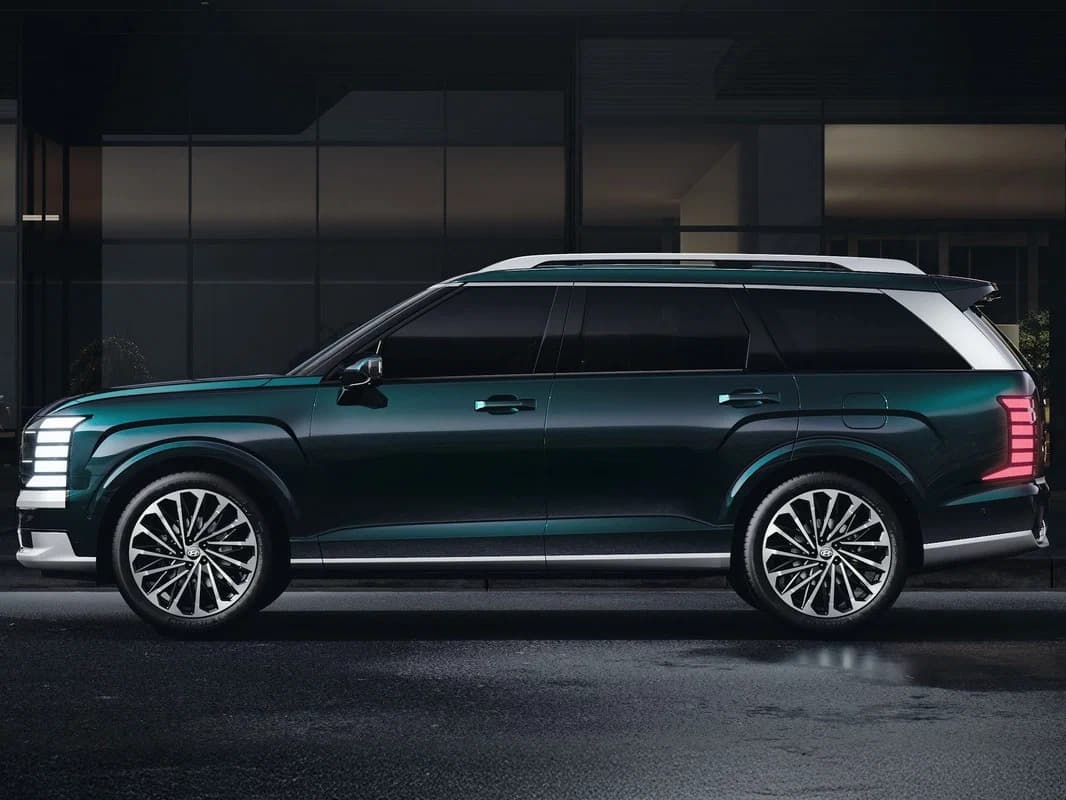 Palisade — фото 1